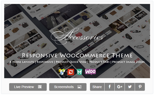 WooAccessories - Responsive WordPress Theme