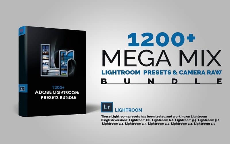 4 in 1 Photo Action And Light Room Bundle