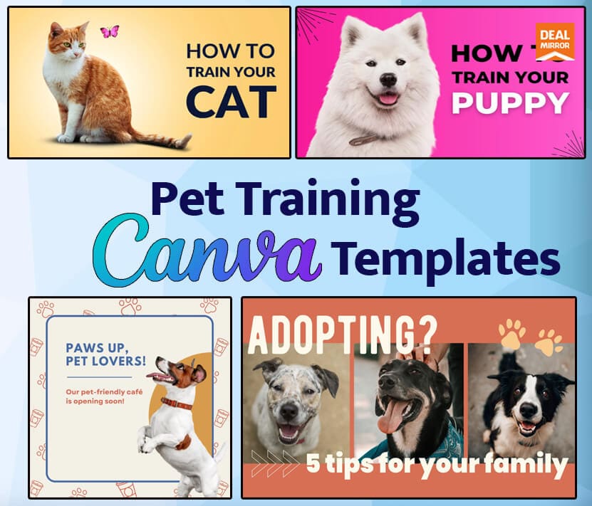 Pet Training Canva Templates