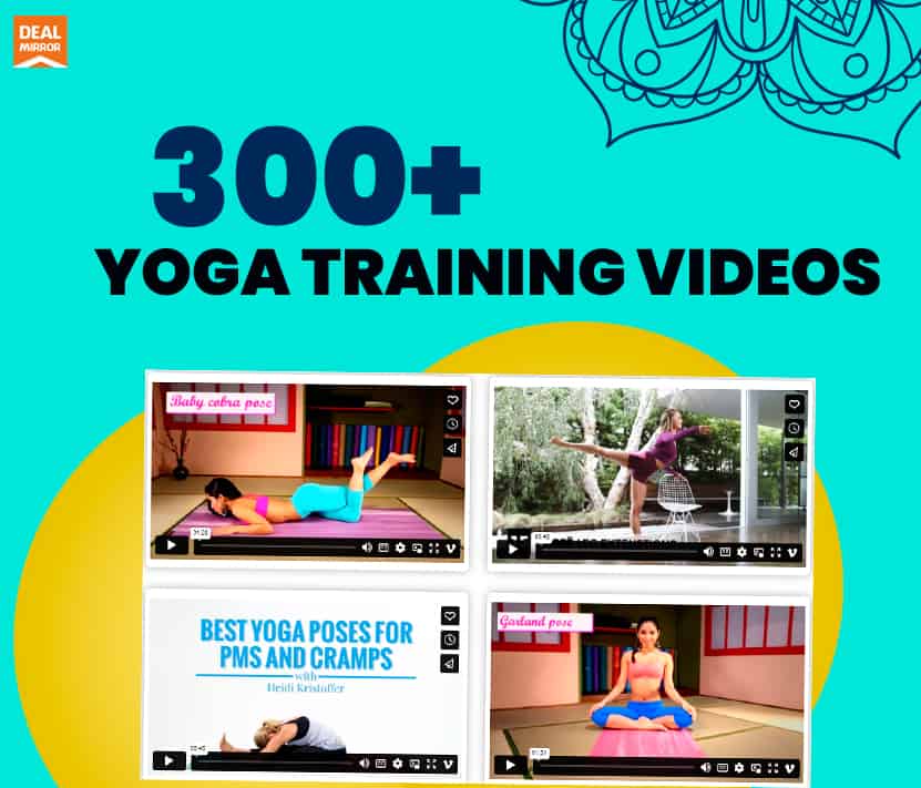 300 High-Quality Yoga Training Videos