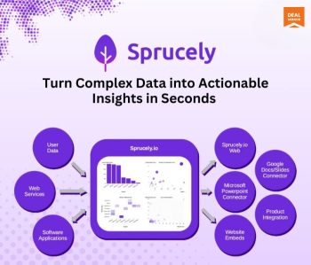 Sprucely: Transform Your Data into Interactive And Customizable Dashboards