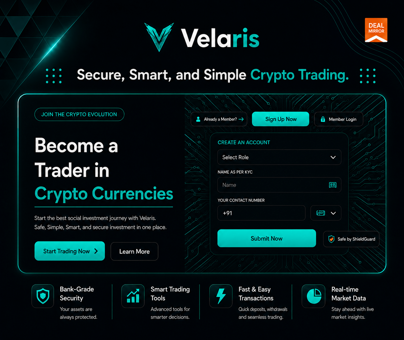 Velaris crypto portfolio dashboard with real-time market insights, digital asset tracking, and advanced analytics tools